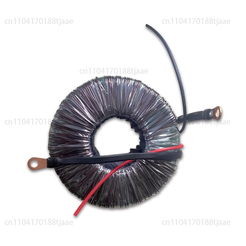 Special Toroidal Transformer f - Toroidal Transformer Inverter 5000W review and price